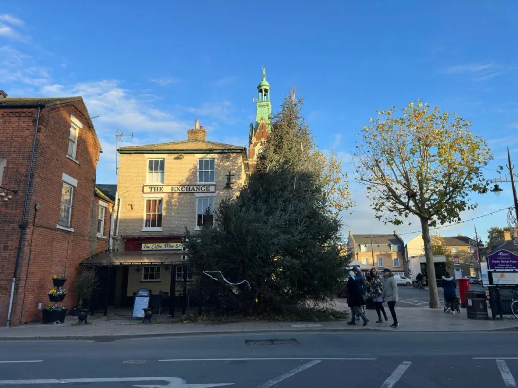 The tree was provided by Elveden Estates from Suffolk, owned by Lord Iveagh. PHOTO: Terry Harris