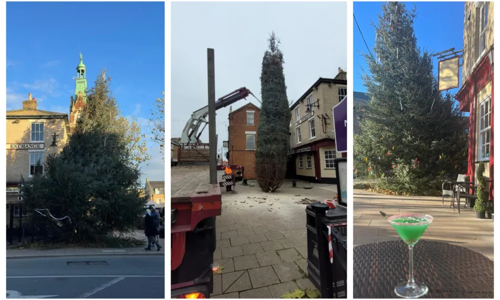 From left: Christmas tree in March yesterday, centre: Tree being delivered and right: special wonky tree cocktail from the Exchange
