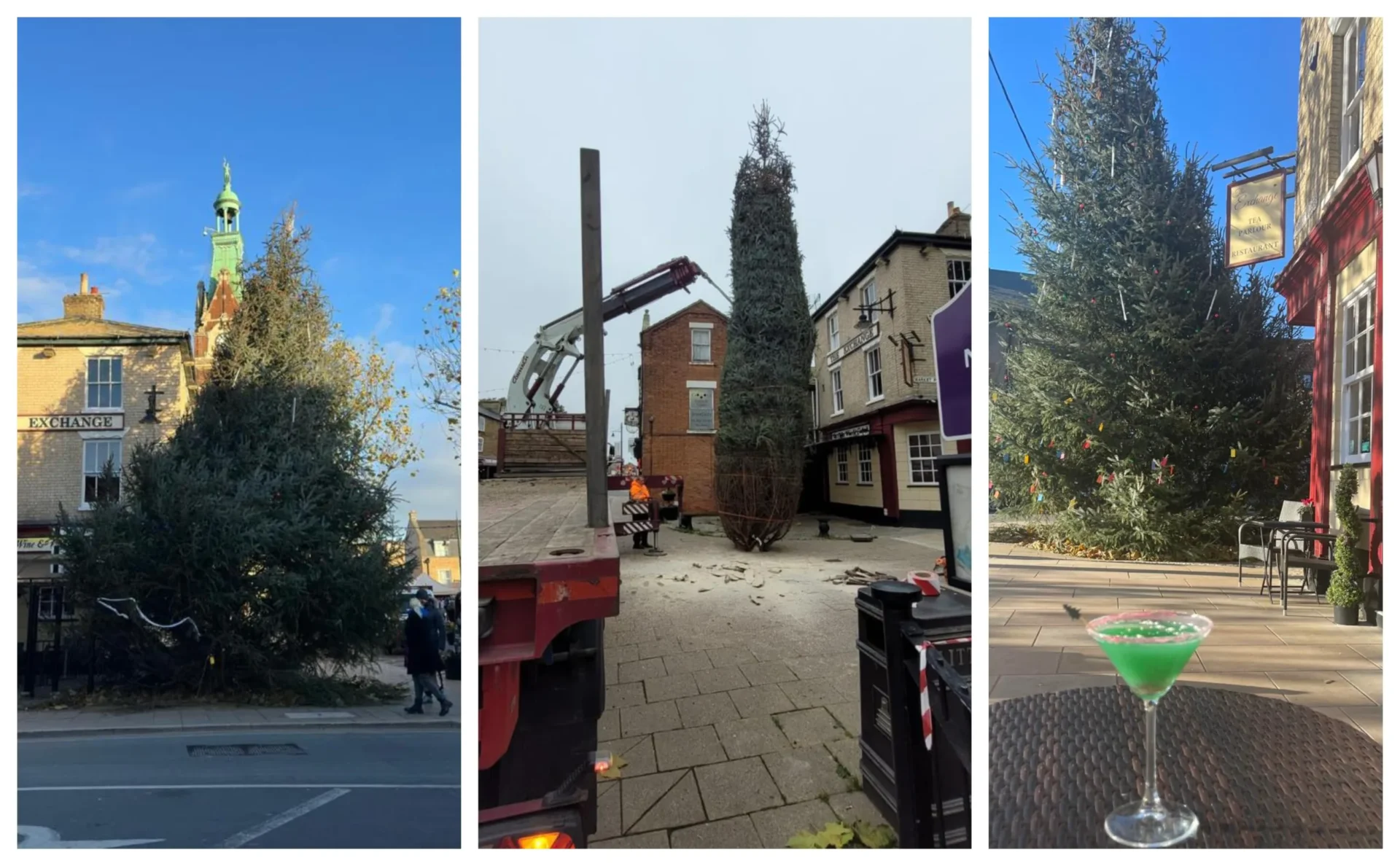 TREE FINAL - News for Peterborough and Cambridgeshire News for Peterborough and Cambridgeshire - From left: Christmas tree in March yesterday, centre: Tree being delivered and right: special wonky tree cocktail from the Exchange