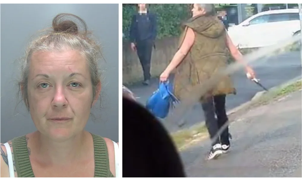 Pictured: Emma Hamilton, of Histon Road, Cambridge, jailed for possessing a knife (above) in a public place, and breaching a suspended sentence