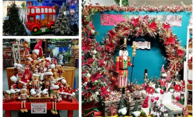 Not Kelly’s house, of course, but photos from some of the many Cambridgeshire stores where Christmas began during October.
