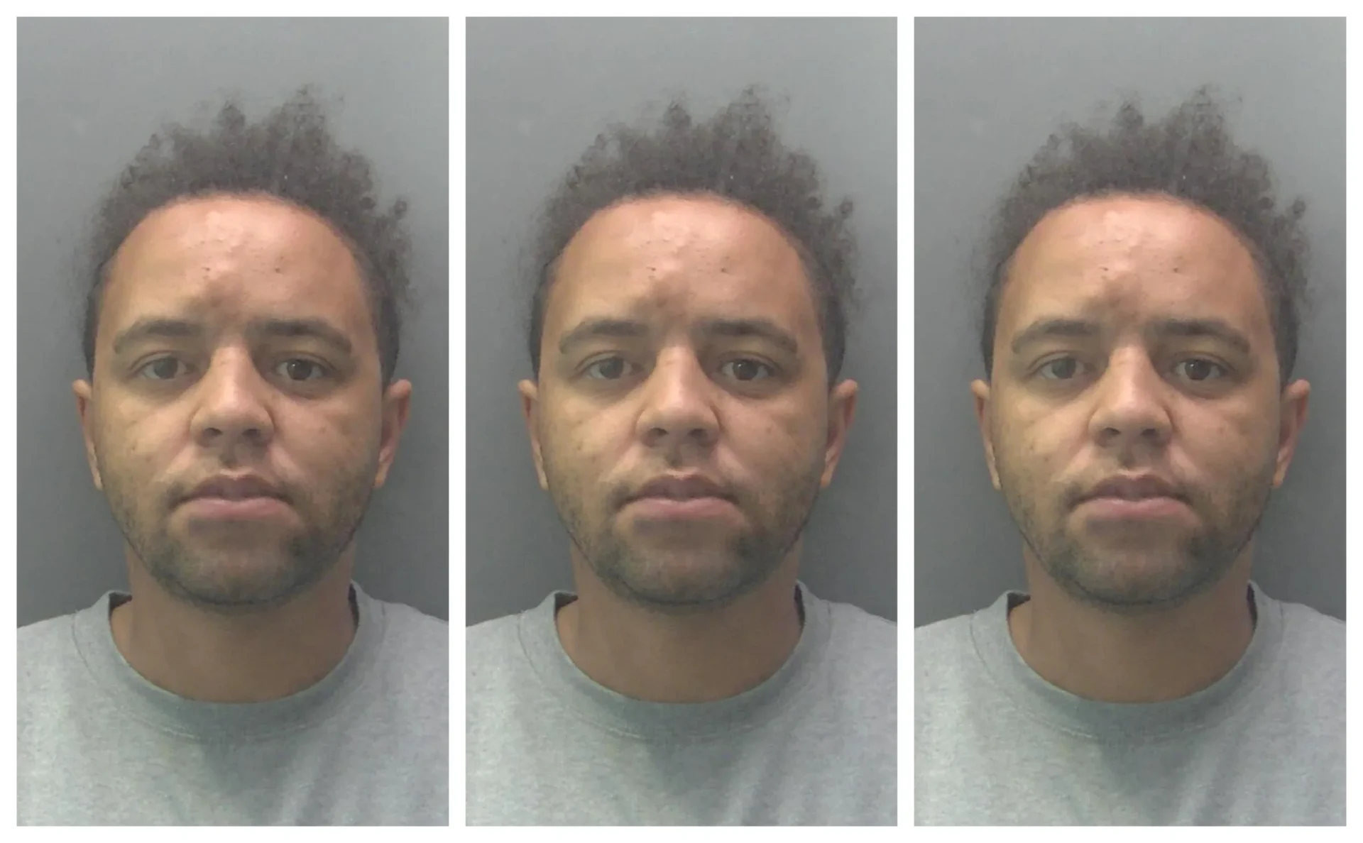 Adam Hewitt ‘clearly a danger to others’ says the police officer who investigated.