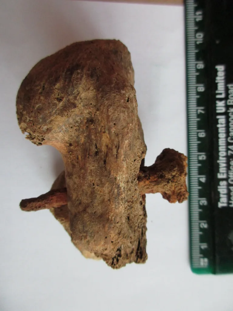 Nail lodged in the heel of the crucified man (credit: Albion Archaeology) and grave where the remains of the crucified man were discovered (credit: Albion Archaeology)
