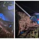 Police released photos of the crash on the A1123 Dimmock’s Cote Road between Stretham and Wicken. The driver was not insured.