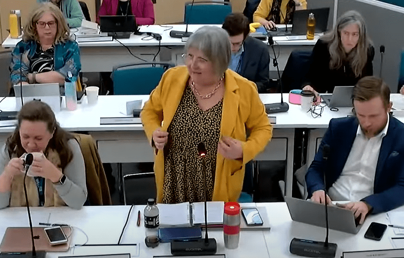 Cllr Lorna Dupre: “When we ask an independent panel to meet and consider the situation and make some recommendations, I tend to take the view that we should listen to what they say”
