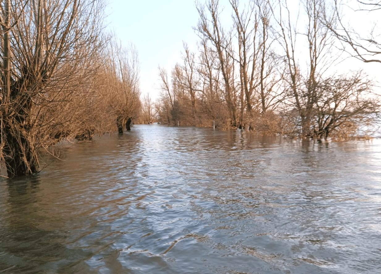 welney 2 - News for Peterborough and Cambridgeshire News for Peterborough and Cambridgeshire - Welney Wash road flooded: Photo, courtesy of Welney Flood Watch, taken on February 11
