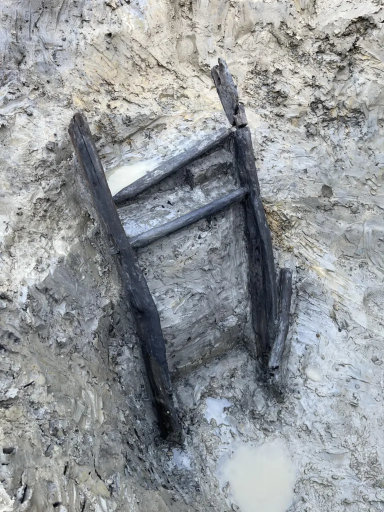 Iron Age ladder found on the A428. ©MOLA (1)