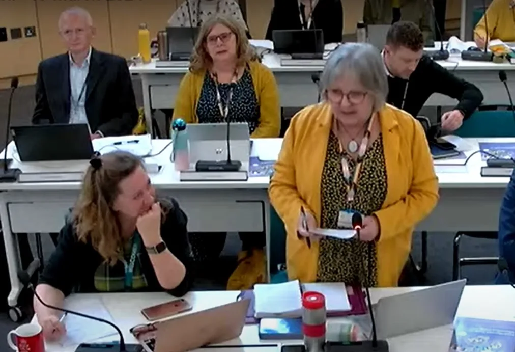 A political ploy by Fenland Conservatives got short thrift from Cllr Lorna Dupre (above), chair of the county council environment and green investment committee