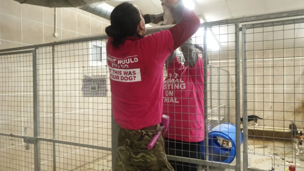 Animal Rising – formerly Animal Rebellion – has taken up protests begun by Camp Beagle over animal testing at MBR Acres, Wyton near Huntingdon. PHOTO: Animal Rising 