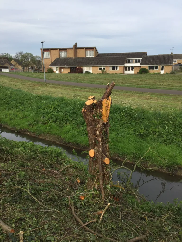 The site off Gunthorpe Road where workmen have begun clearing the site and caused an uproar among local residents. Residents have taken photos of the area being cleared and contacted councillors for an explanation. 