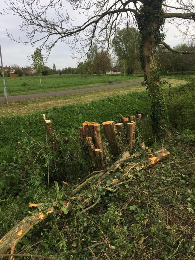 The site off Gunthorpe Road where workmen have begun clearing the site and caused an uproar among local residents. Residents have taken photos of the area being cleared and contacted councillors for an explanation.