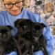 The pups - two female and one male - have been named Millie, Lilly, and Billy