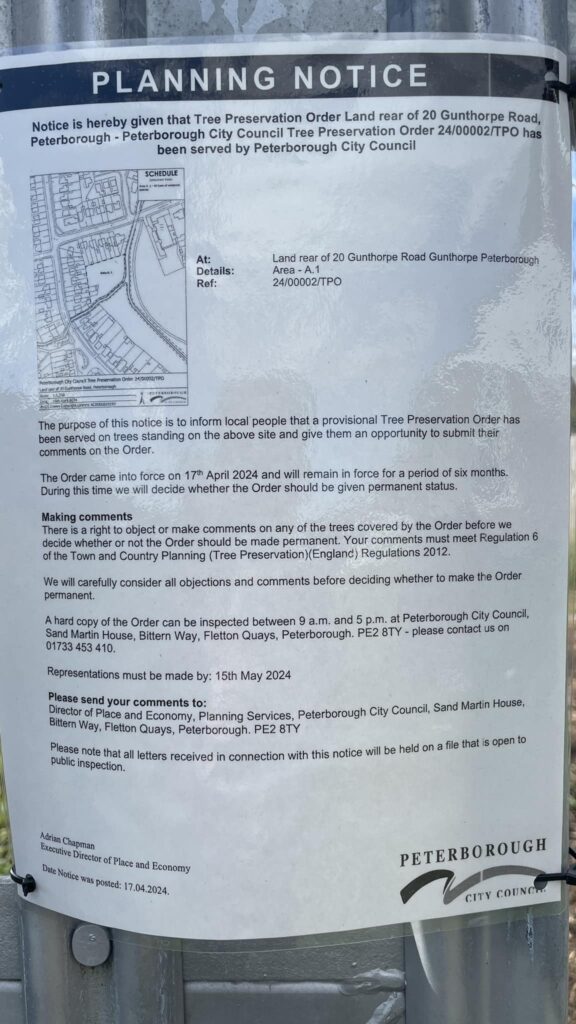 Peterborough City Council has issued a provisional tree preservation order on the remaining trees “standing on the site” to the rear of 20 Gunthorpe Road, Peterborough. 