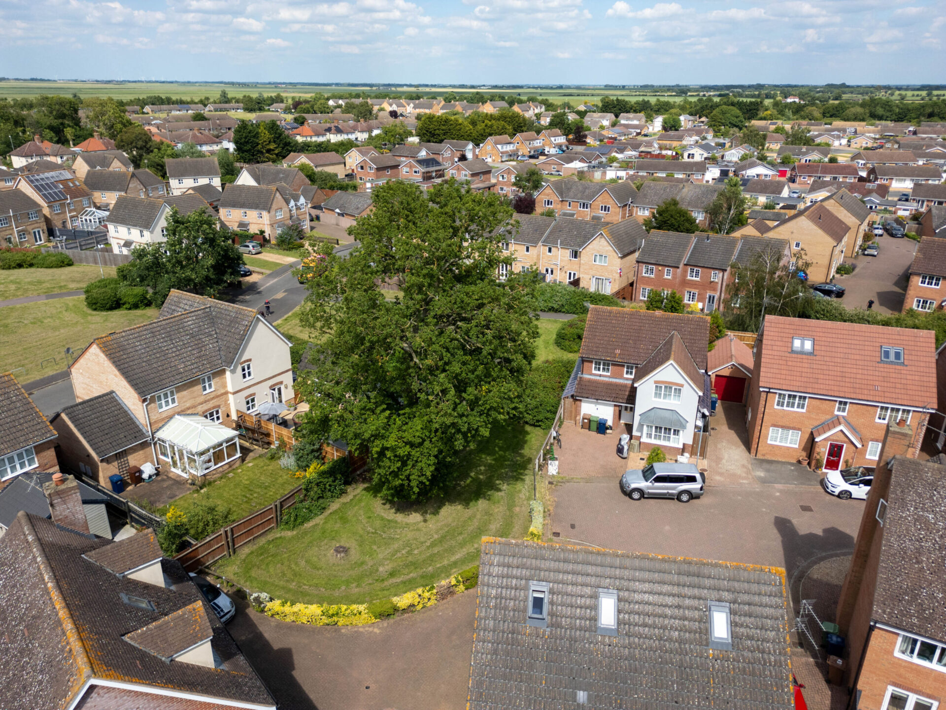 A old oak tree is threatened with destruction following a single complaint. - News for Peterborough and Cambridgeshire News for Peterborough and Cambridgeshire - Residents and even the town council fought to persuade Fenland District Council to refuse its own application to fell a 50- to 60-year-old protected oak tree off Bridle Close, Chatteris. PHOTO: Terry Harris