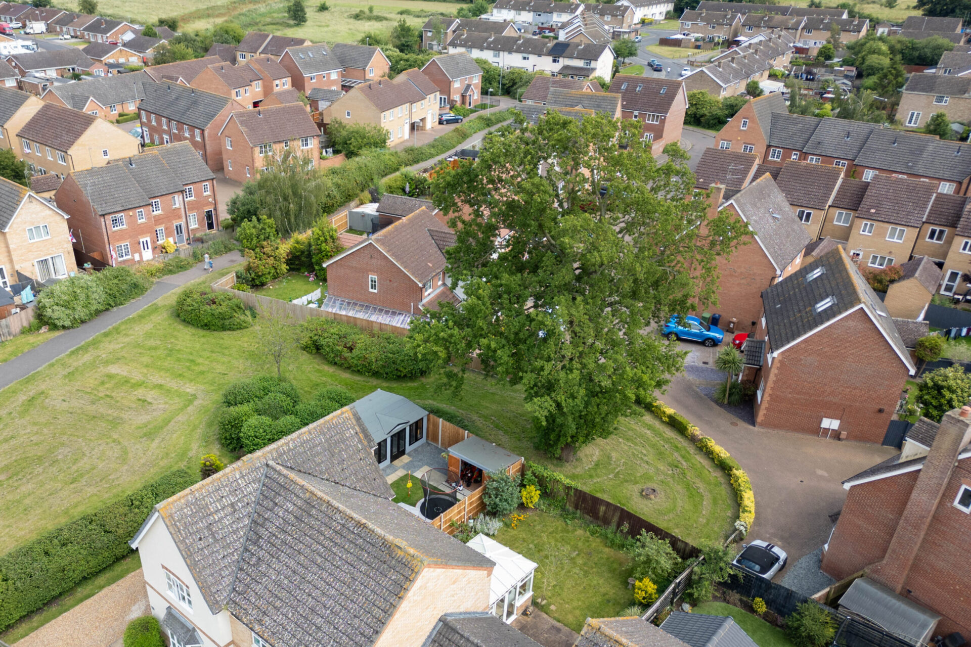 A old oak tree is threatened with destruction following a single complaint. - News for Peterborough and Cambridgeshire News for Peterborough and Cambridgeshire - Residents and even the town council want Fenland District Council to refuse its own application to fell a 50- to 60-year-old protected oak tree off Bridle Close, Chatteris. PHOTO: Terry Harris
