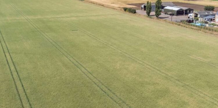 News for Peterborough and Cambridgeshire - Savills describes the Newborough Estate as a mixed farming estate that includes a number of tenancies, with the majority being Farm Business Tenancies (FBT). IMAGE: Savills