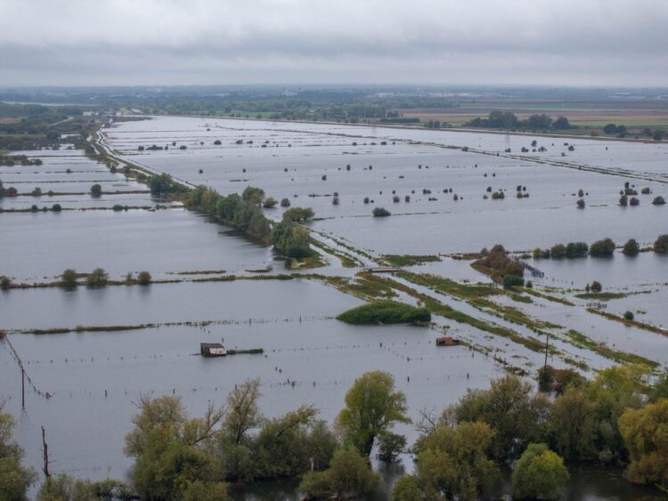 whit 4 - News for Peterborough and Cambridgeshire News for Peterborough and Cambridgeshire - Flood warning area: B1040 Thorney to Whittlesey Road to the South of the River Nene and North Bank Road alongside the River Nene to the east of Peterborough and the West of the Dog-in-a-Doublet Sluice. PHOTO: Terry Harris (October 1st)