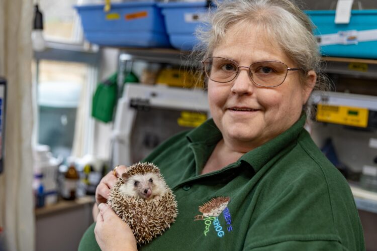 News for Peterborough and Cambridgeshire - Heather Johnson, 49, runs a hedgehog hostel from her home in Chatteris, Cambridgeshire, but says she urgently needs more space after being inundated with hedgehogs due to a bumper breeding season and unpredictable weather. PHOTO: Terry Harris