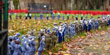 Whittlesey Knitted Memorial Garden, Whittlesey, Peterborough Thursday 07 November 2024. Picture by Terry Harris.