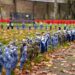 Whittlesey Knitted Memorial Garden - News for Peterborough and Cambridgeshire News for Peterborough and Cambridgeshire - Whittlesey Knitted Memorial Garden, Whittlesey, Peterborough Thursday 07 November 2024. Picture by Terry Harris.