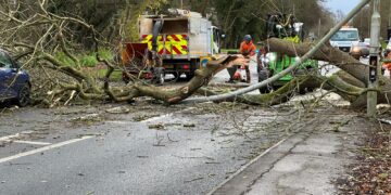 A fallen tree hit a car and damaged a lamp post at Bretton, Peterborough, today.