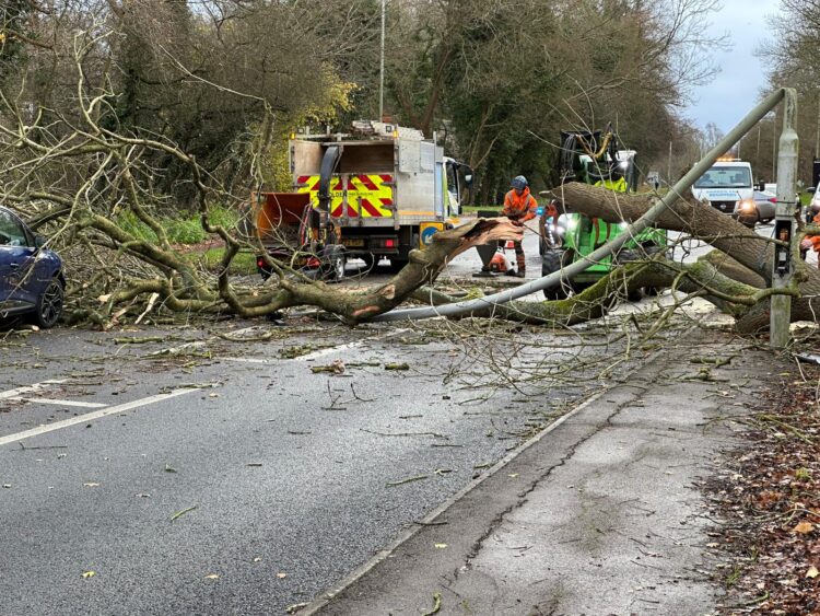 1 WhatsApp Image 2024-12-07 at 19.35.18_3f3508e9 - News for Peterborough and Cambridgeshire News for Peterborough and Cambridgeshire - A fallen tree hit a car and damaged a lamp post at Bretton, Peterborough, today.