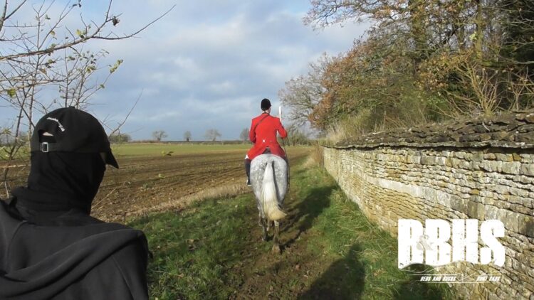 HUNT 5 - News for Peterborough and Cambridgeshire News for Peterborough and Cambridgeshire - The Fitzwilliam Hunt at Milton near Peterborough on Saturday November 30. Photo credit: Beds and Bucks Hunt Sabs