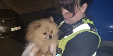 PC Kirsty Hulley, who investigated, said: 'This was a horrendous and shocking case of animal neglect and one I will never forget.' Pictured with one of the dogs she helped to rescue.