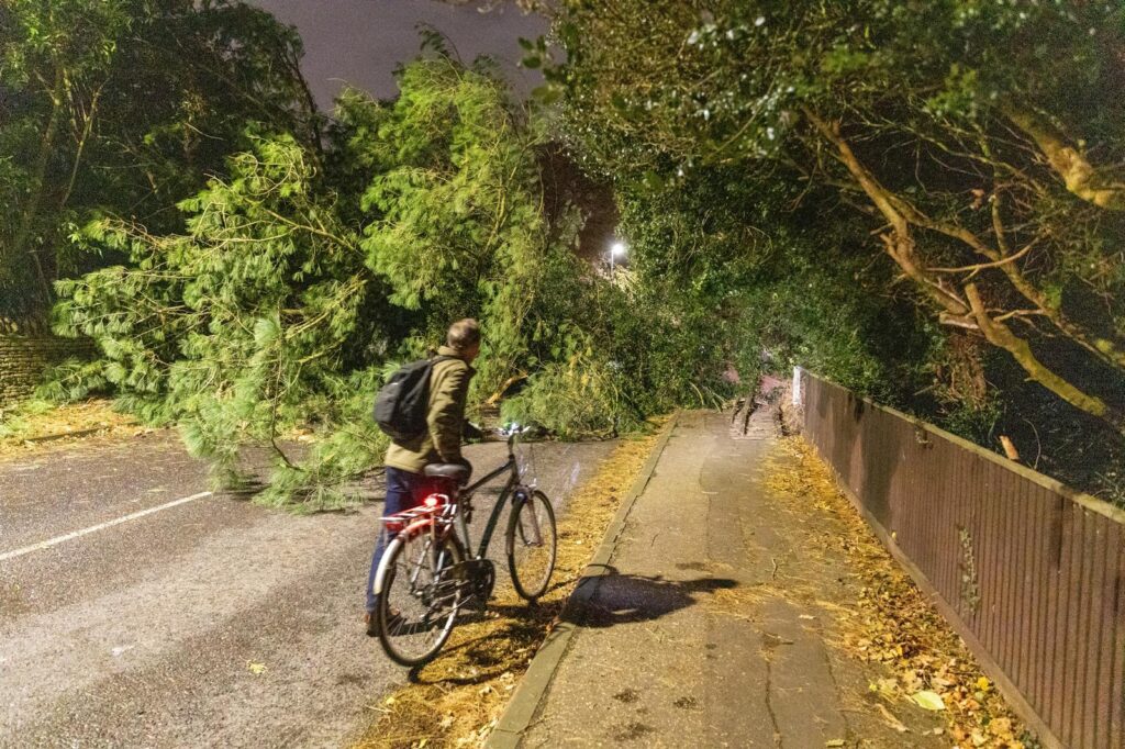 WhatsApp Image 2024-12-07 at 19.43.52_b0333b86 - News for Peterborough and Cambridgeshire Scene on Thorpe Road Peterborough tonight – December 7 – after falling tree hits car PHOTO: Terry Harris