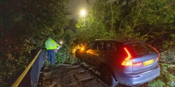 Scene on Thorpe Road Peterborough tonight – December 7 – after falling tree hits car PHOTO: Terry Harris