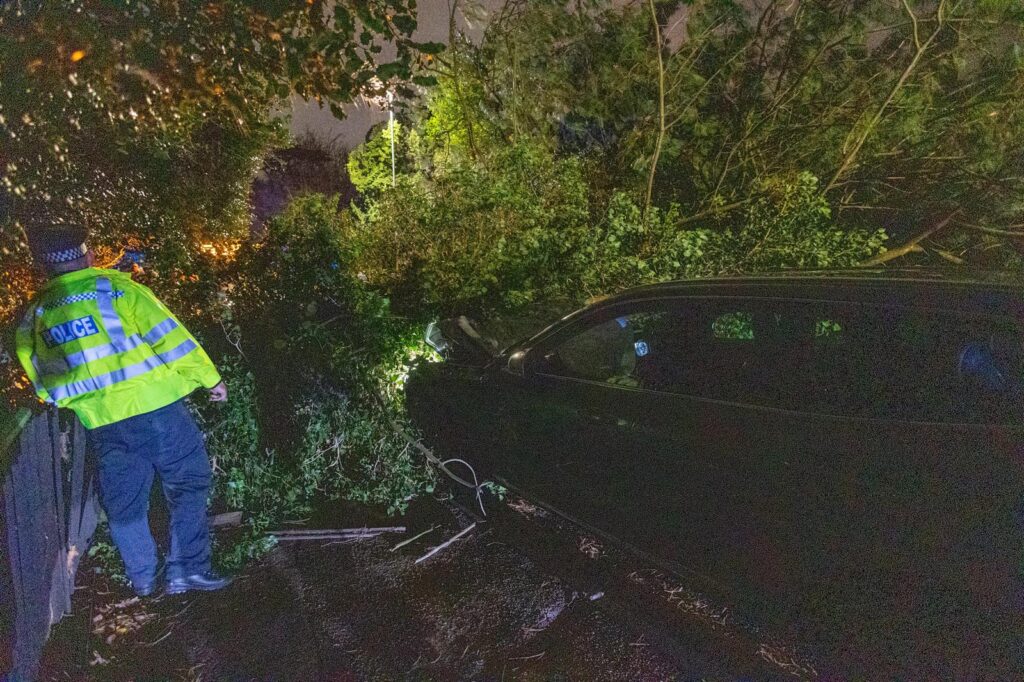 WhatsApp Image 2024-12-07 at 19.43.53_6560406d - News for Peterborough and Cambridgeshire Scene on Thorpe Road Peterborough tonight – December 7 – after falling tree hits car PHOTO: Terry Harris
