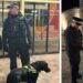 dogs main 2 - News for Peterborough and Cambridgeshire News for Peterborough and Cambridgeshire - The operation consisted of two strands – the first using a passive drugs dog to detect individuals who are, or had been, in contact with or possession of drugs. Anyone who the dog “indicated” was spoken with by police officers, and if there were reasonable grounds, a stop-search then carried out.