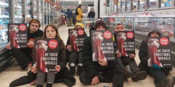 Animal Justice Project campaigners staged a protest at the millions of turkeys killed at Christmas by blocking a supermarket aisle in a Cambridge Tesco. Campaigners asked: “Will you be their Christmas Miracle?” Protest (Photo credits: Animal Justice Project.)