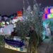 News for Peterborough and Cambridgeshire - The dazzling show, created by 62-year-old David Woolridge for the sixth year running, featured thousands of stunning LED lights, hundreds of inflatables and 40 beautifully decorated Christmas trees.