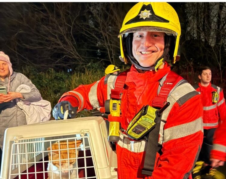 cat 6 - News for Peterborough and Cambridgeshire News for Peterborough and Cambridgeshire - Mission accomplished: Cottenham firefighters when they were asked to call in to Trumpington to assist in getting a 6 month old kitten out of a tall tree. PHOTO: Cottenham Community fire and rescue station