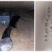 drugs 1 - News for Peterborough and Cambridgeshire News for Peterborough and Cambridgeshire - Police were on patrol in the Market Square, Cambridge, when they spotted Alfarooq Makinde sat at a table. Underneath the table they found a machete and cocaine when they searched him.