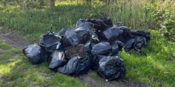 Mound of bin bags dumped in Workhouse Drove, Wimblington, led to the conviction of the householder who handed them over to a rogue trader PHOTO: Fenland District Council