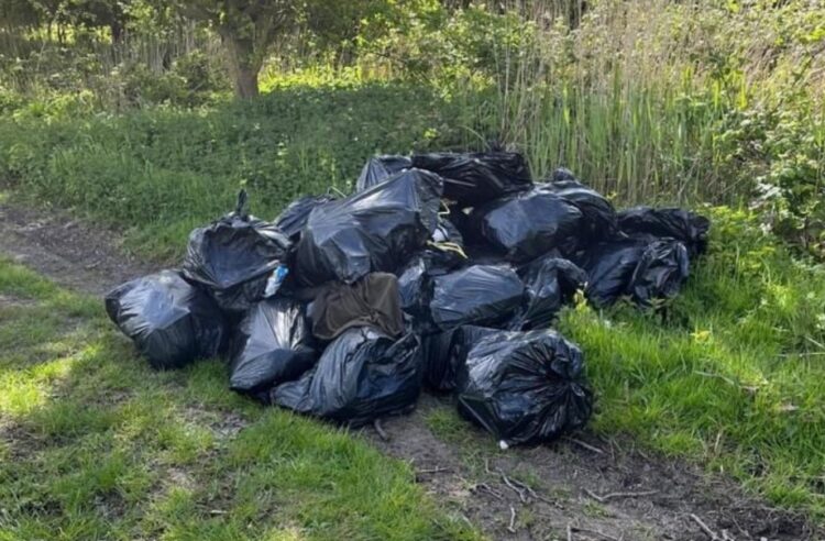 fly tip in Wimblington 002 - News for Peterborough and Cambridgeshire News for Peterborough and Cambridgeshire - Mound of bin bags dumped in Workhouse Drove, Wimblington, led to the conviction of the householder who handed them over to a rogue trader PHOTO: Fenland District Council