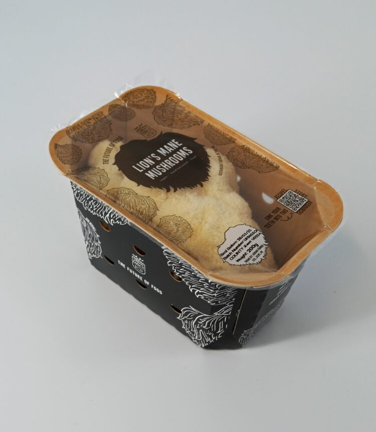 Urban Farm It Lions Mane Mushroom 2 - News for Peterborough and Cambridgeshire News for Peterborough and Cambridgeshire -