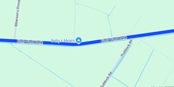 The driver of a car that left the road and entered the water along Forty Foot Bank in the Fens has died. Image: Google