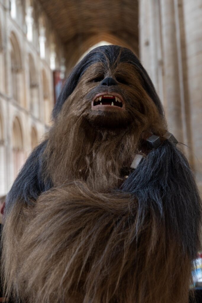 Feel the Force Day - News for Peterborough and Cambridgeshire News for Peterborough and Cambridgeshire -