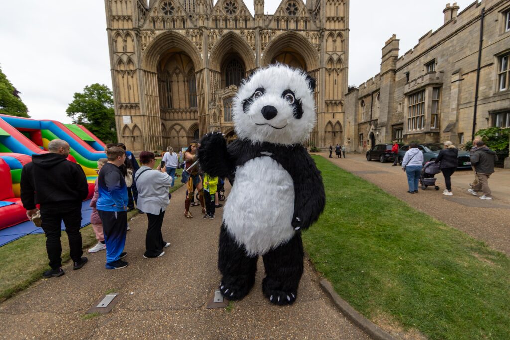 Feel the Force Day - News for Peterborough and Cambridgeshire News for Peterborough and Cambridgeshire -