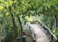 rail 1 - News for Peterborough and Cambridgeshire News for Peterborough and Cambridgeshire - Railworld Wildlife Haven: explore, learn, relax