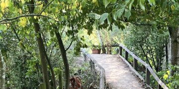 Railworld Wildlife Haven: explore, learn, relax