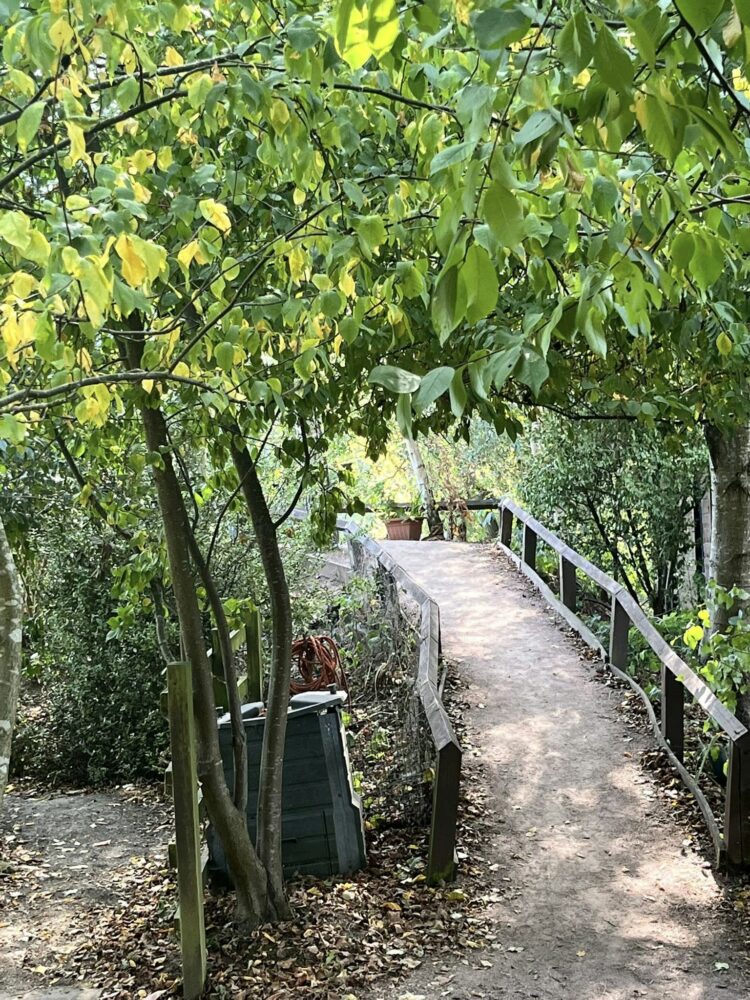 Railworld Wildlife Haven: explore, learn, relax