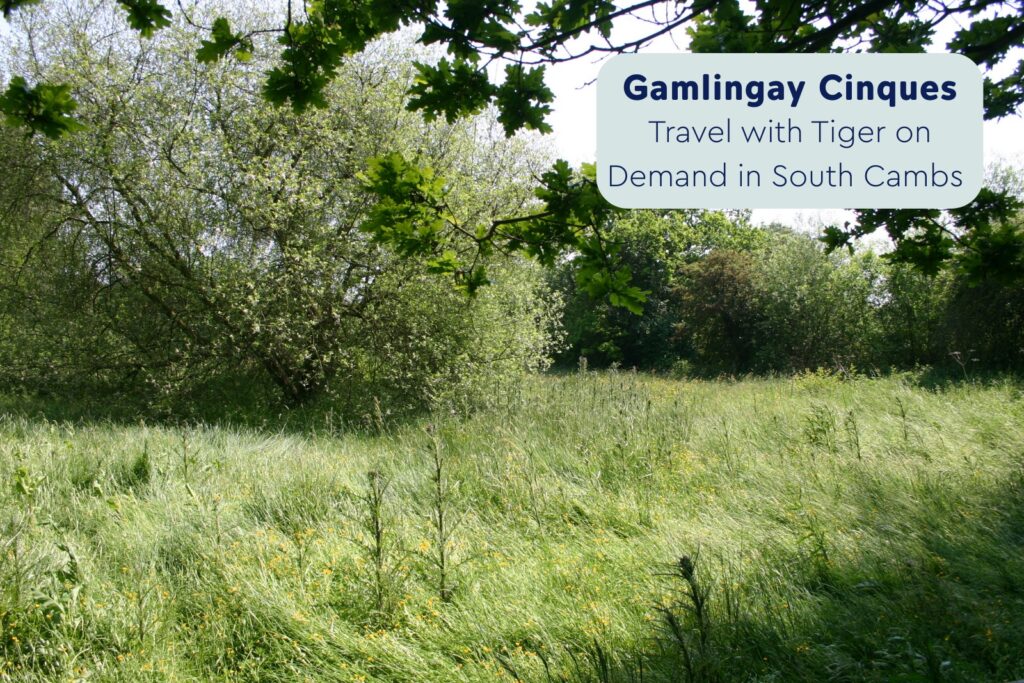 This September, Cambridgeshire and Peterborough Combined Authority is supporting Catch the Bus Month, a national campaign led by Bus Users UK to encourage more people to choose the bus. But best to check the places suggested by the Combined Authority that are actually open