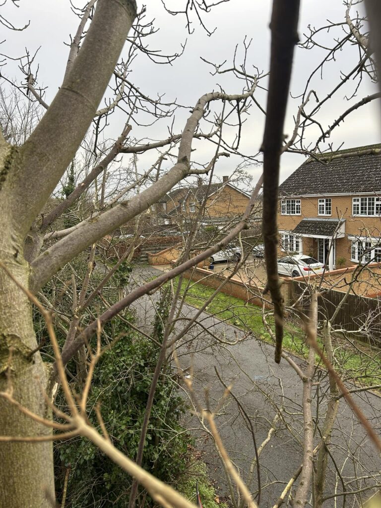 A strip of land is at the centre of the fight with residents of March. The dispute centres on a 120-metre by five-metre strip of land owned by Cambridgeshire County Council but leased to the Neale-Wade Academy. Developers say they need it to widen Barkers Lane to meet conditions of outline planning consent granted in October 2024. Hazel Harwin climbed a tree on Christmas Day last year to protest.