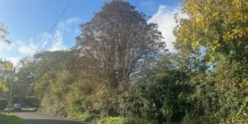 A strip of land is at the centre of the fight with residents of March. The dispute centres on a 120-metre by five-metre strip of land owned by Cambridgeshire County Council but leased to the Neale-Wade Academy. Developers say they need it to widen Barkers Lane to meet conditions of outline planning consent granted in October 2024.