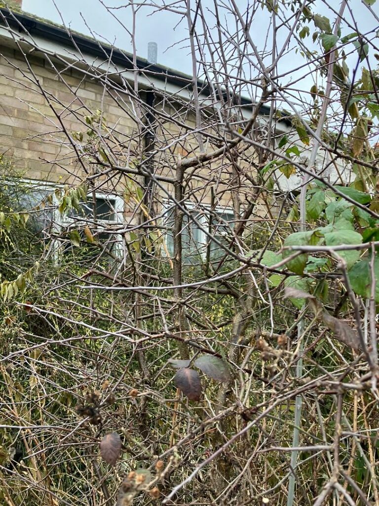 Images of the Comberton property before and after renovation