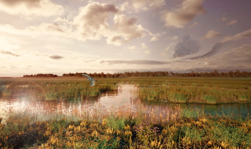 A visual impression from the eastern corner of the main reservoir site towards the reservoir embankment, over the proposed wetland area. For illustrative purposes only